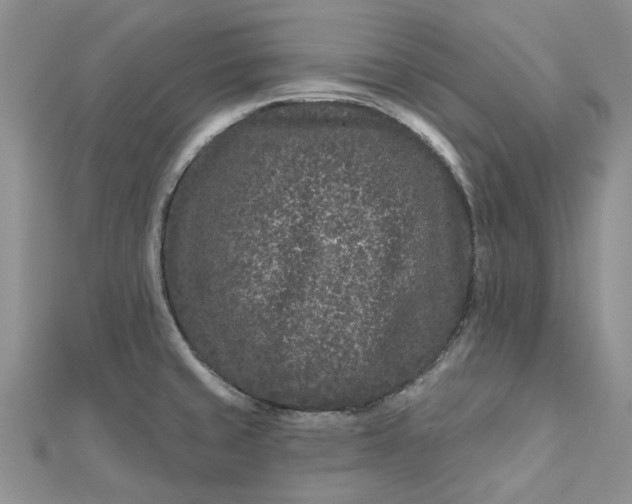 X0000112801429200909041423