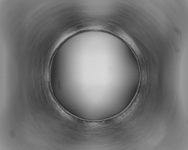 X0000112801436200909041423