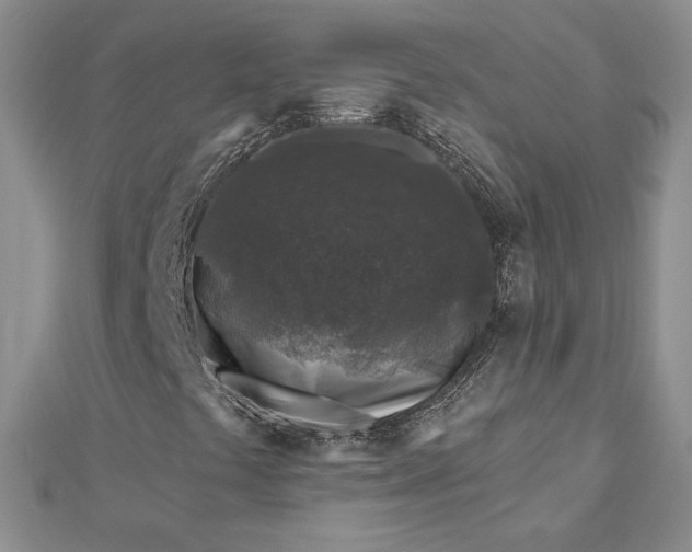 X0000112801441200909041423