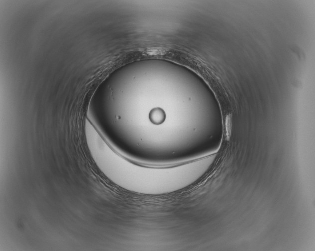 X0000112801443200909041423