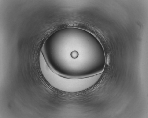 X0000112801444200909041423