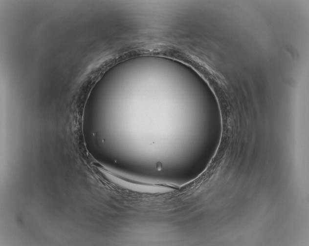 X0000112801447200909041423