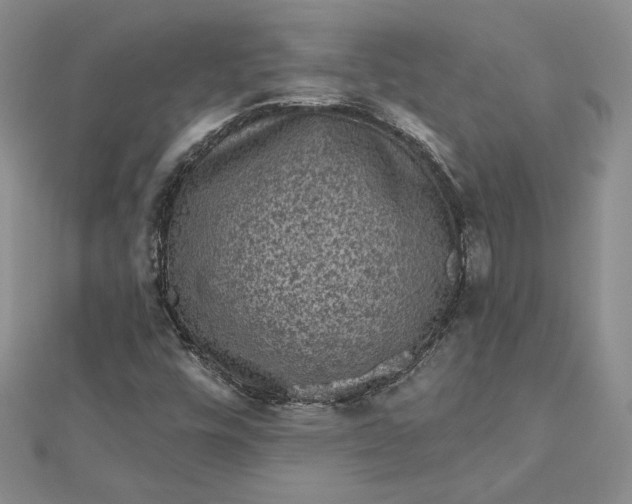 X0000112801448200909041423