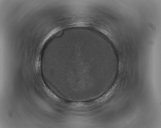X0000112801450200909041423