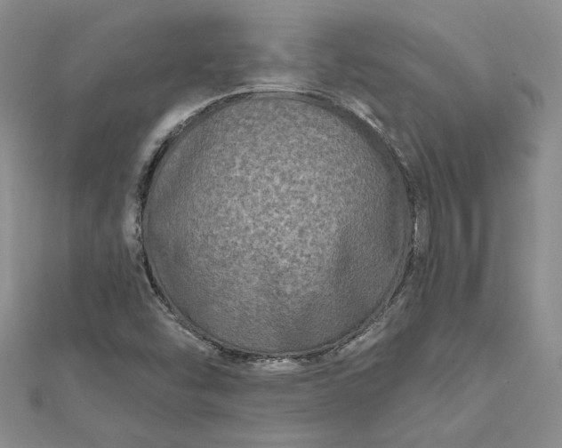 X0000112801454200909041423