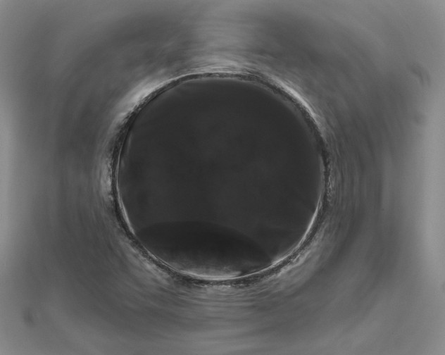 X0000112801455200909041423