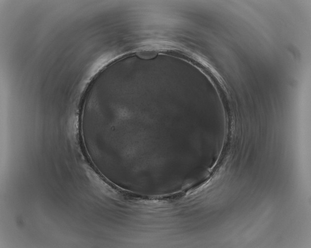 X0000112801459200909041423