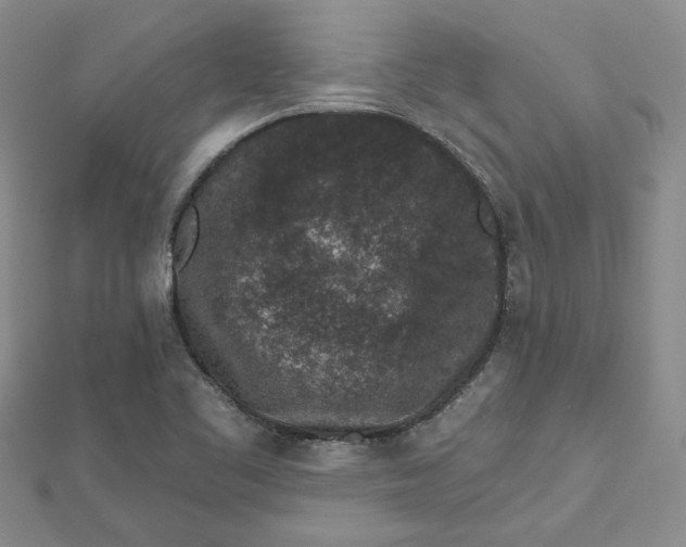 X0000112801461200909041423