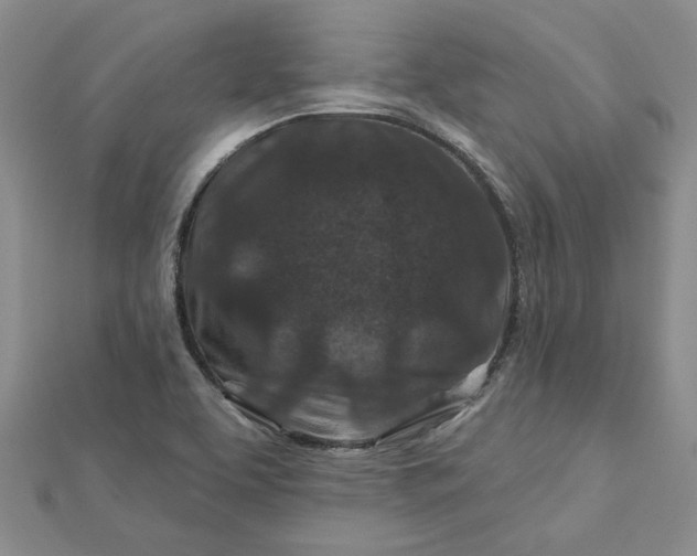 X0000112801463200909041422
