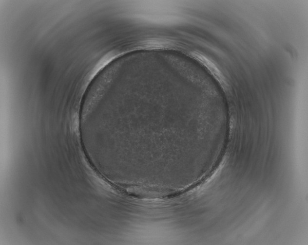 X0000112801465200909041422