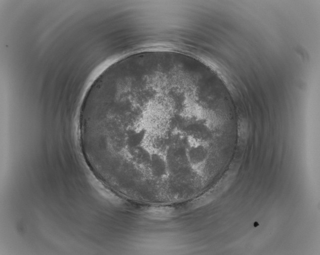 X0000112801466200909041422