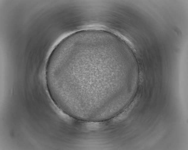 X0000112801470200909041422