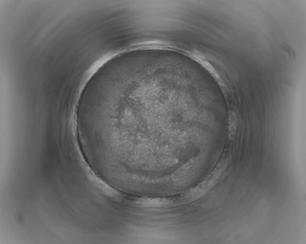 X0000112801474200909041422
