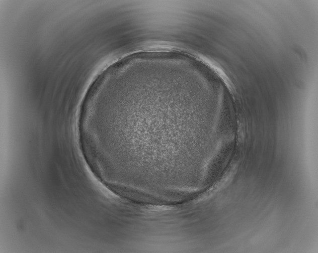 X0000112801475200909041422