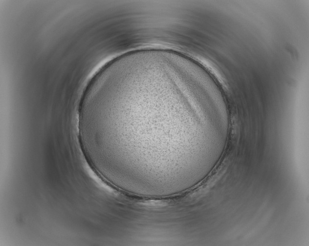 X0000112801476200909041422