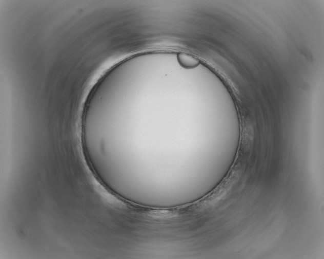 X0000112801478200909041422