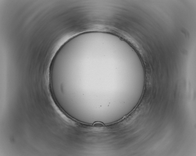 X0000112801479200909041422