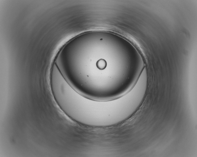 X0000112801480200909041422