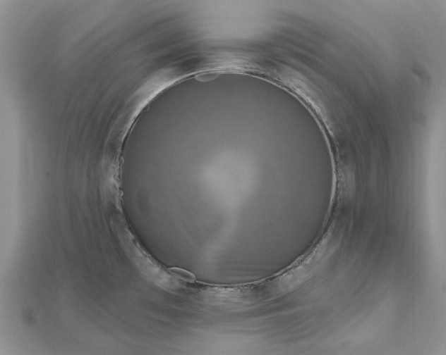 X0000112801481200909041422