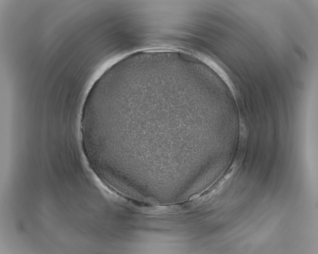 X0000112801485200909041422