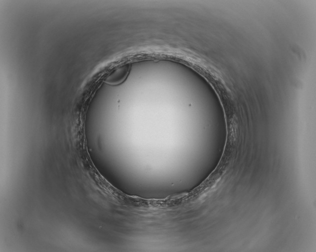 X0000112801494200909041422
