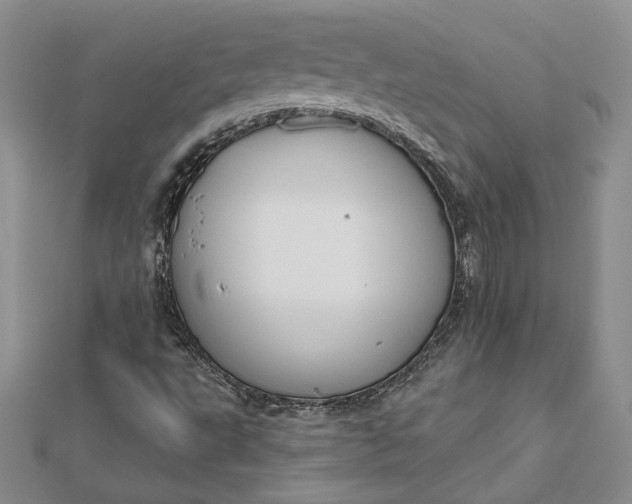 X0000112801495200909041422
