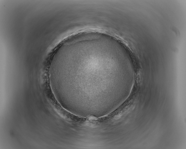 X0000112801496200909041422