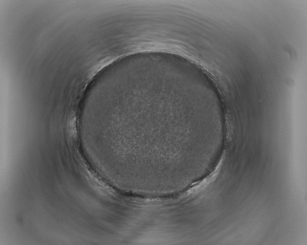 X0000112801497200909041422