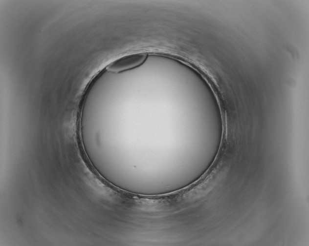 X0000112801500200909041422