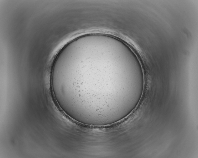 X0000112801504200909041422
