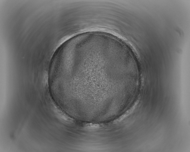 X0000112801505200909041422