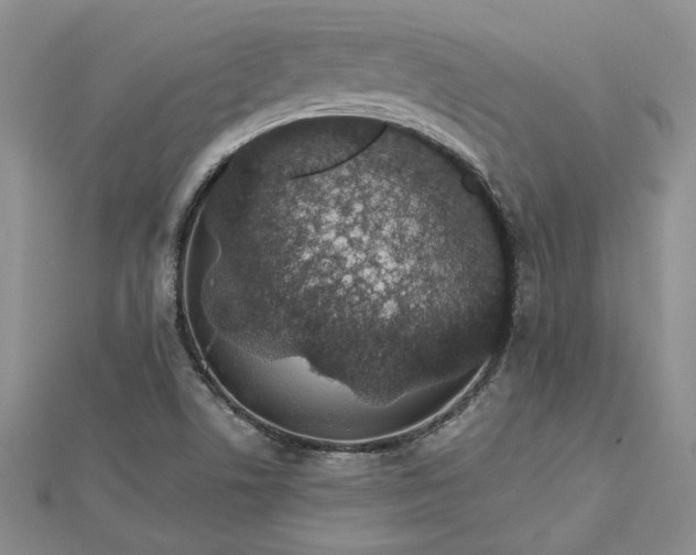 X0000112801506200909041422