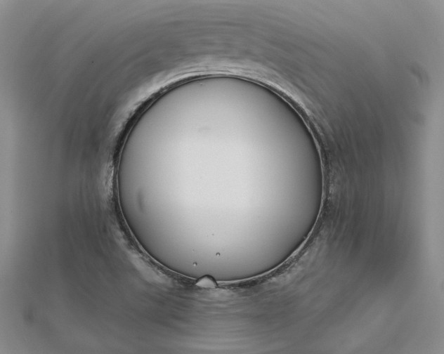 X0000112801507200909041422