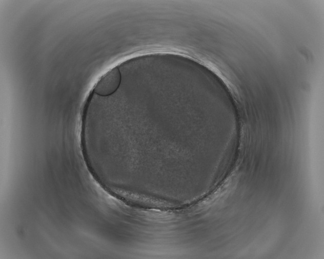 X0000112801508200909041422