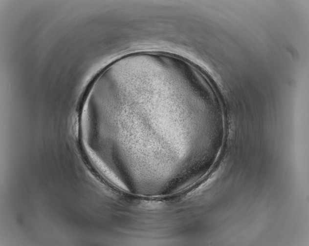X0000112801509200909041422