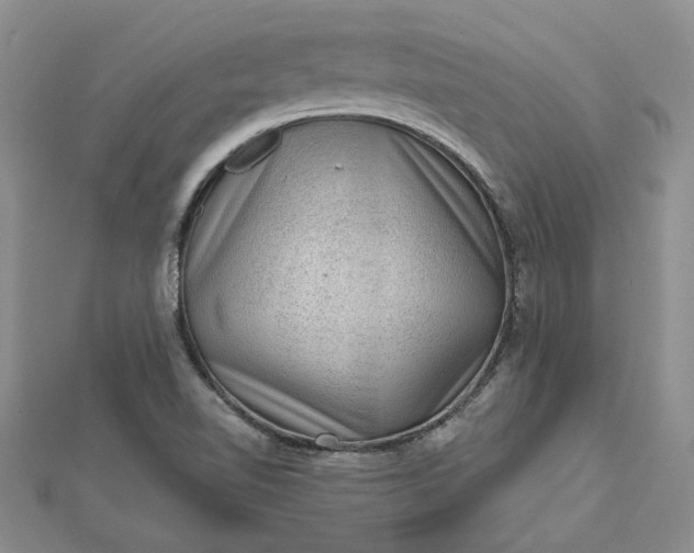 X0000112801510200909041422