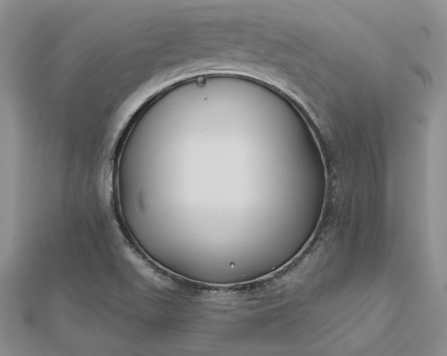 X0000112801511200909041422