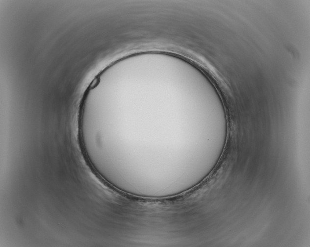X0000112801512200909041422