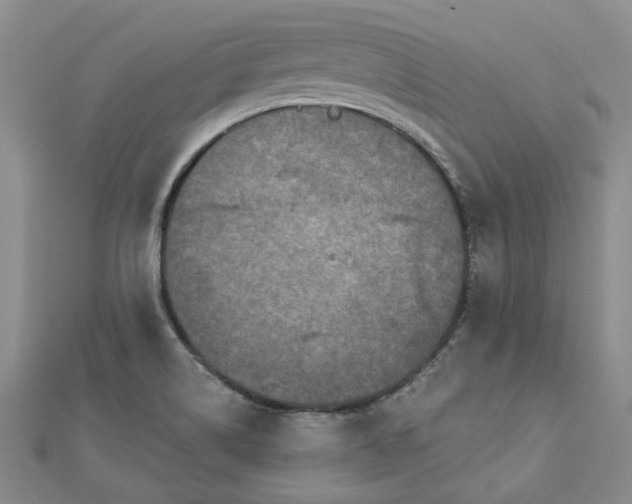 X0000112801514200909041422