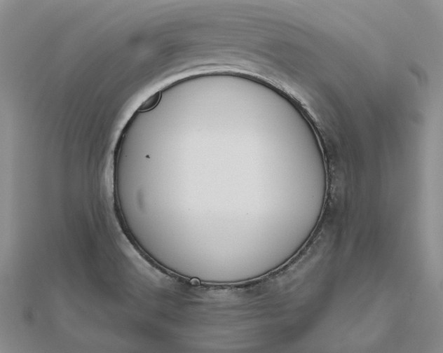 X0000112801516200909041422
