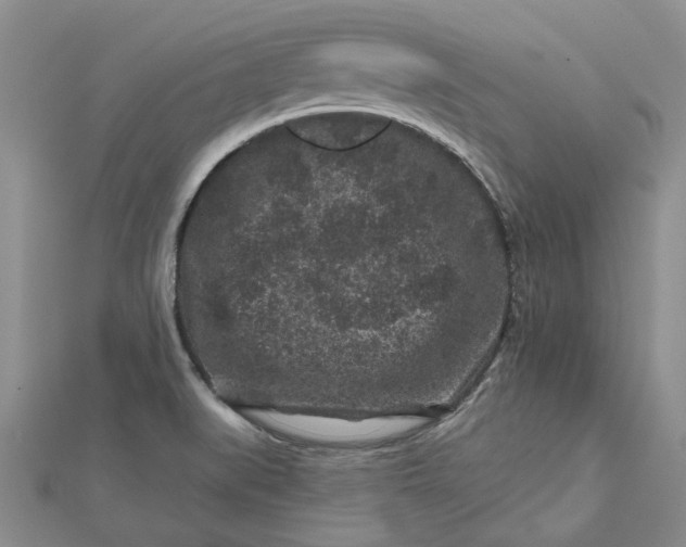 X0000112801519200909041422