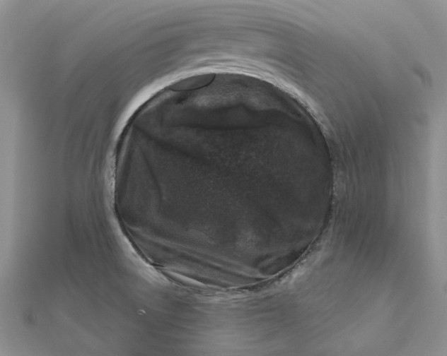 X0000112801522200909041422