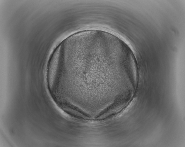 X0000112801525200909041422
