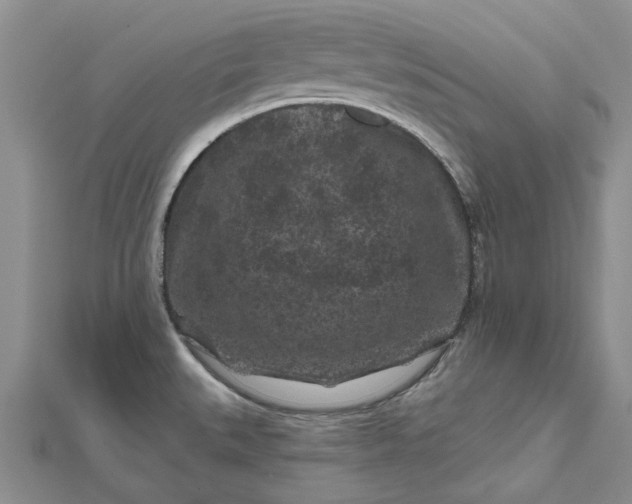X0000112801527200909041422