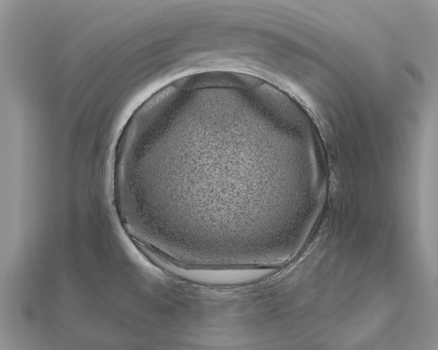 X0000112801528200909041422