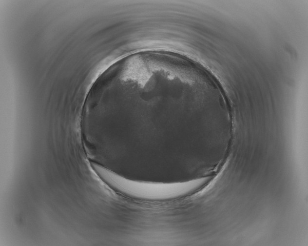 X0000112801529200909041422