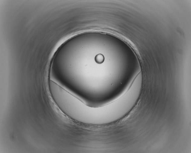 X0000112801530200909041422