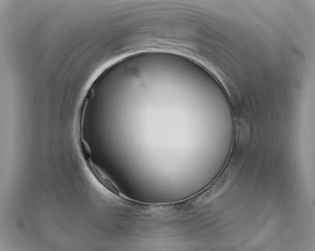 X0000112801531200909041422