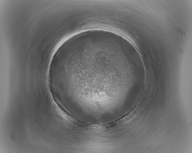 X0000112801536200909041422