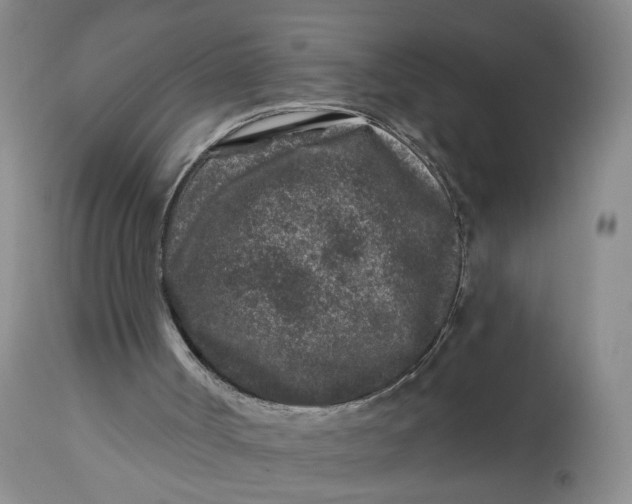 X0000112800002200909111247